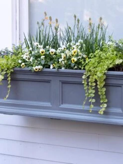 Fairfield Self-Watering Window Box, 3’ -Flowerpot Discount Store 39 344 9360 tif