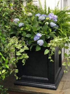 Fairfield Self-Watering Square Planter, 20” X 20” 13 Fairfield Self-Watering Square Planter, 20” X 20” -Flowerpot Discount Store 39 618 205V tif