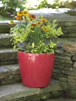 Viva Round Self-Watering Rolling Planter, 17.25” Diameter -Flowerpot Discount Store 39326 046 tif