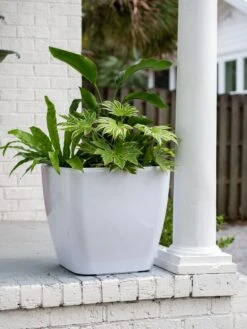 Viva Square Self-Watering Rolling Planter, 20" Diameter, Set Of 2 19 Viva Square Self-Watering Rolling Planter, 20" Diameter, Set Of 2 -Flowerpot Discount Store 3 4 crop 8612930 0033 tif