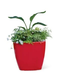 Viva Square Self-Watering Rolling Planter, 20" Diameter, Set Of 2 20 Viva Square Self-Watering Rolling Planter, 20" Diameter, Set Of 2 -Flowerpot Discount Store 3 4 crop 8612930 0037 tif