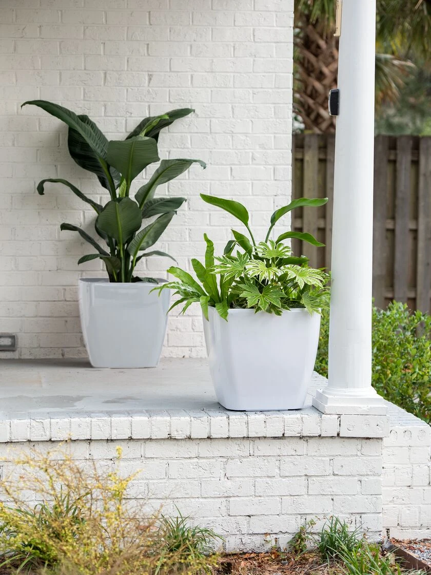 Viva Square Self-Watering Rolling Planter, 20" Diameter, Set Of 2 4 Viva Square Self-Watering Rolling Planter, 20" Diameter, Set Of 2 - Image 2