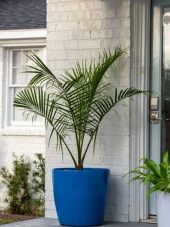 Viva Round Self-Watering Rolling Planter, 20" Diameter, Set Of 2 -Flowerpot Discount Store 3 4 crop 8612933 0024 tif