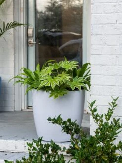 Viva Round Self-Watering Rolling Planter, 20" Diameter, Set Of 2 -Flowerpot Discount Store 3 4 crop 8612933 0025 tif