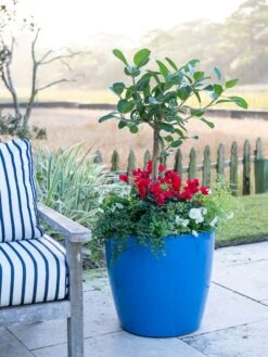 Viva Round Self-Watering Rolling Planter, 20" Diameter, Set Of 2 -Flowerpot Discount Store 3 4 crop 8612933 5312 tif