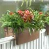 Self-Watering Railing Planter -Flowerpot Discount Store 40145 040 tif