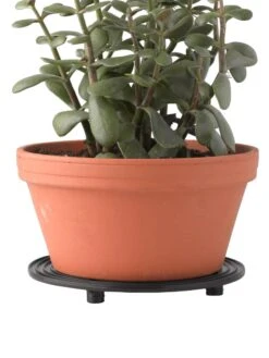 5" SurfaceSaver® , Set Of 2 -Flowerpot Discount Store 8586907 016 tif