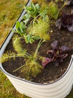 Birdies™ Modular Metal Raised Bed 19 Birdies™ Modular Metal Raised Bed -Flowerpot Discount Store 8586930 6019 tif