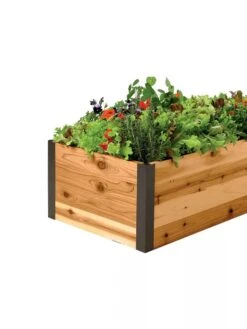 Deep Root Raised Beds, 14" Deep 2' Wide 9 Deep Root Raised Beds, 14" Deep 2' Wide -Flowerpot Discount Store 8587798 001E 1