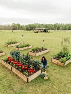 Deep Root Raised Beds, 14" Deep 4' Wide -Flowerpot Discount Store 8587813 505 tif