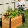 Elevated Raised Bed, 2' X 4' -Flowerpot Discount Store 8587822 675 tif