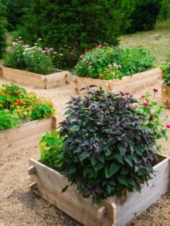 Farmstead Cedar Raised Garden Beds, 3' 10 Farmstead Cedar Raised Garden Beds, 3' -Flowerpot Discount Store 8588143 09V tif