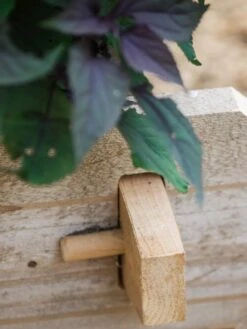 Farmstead Cedar Raised Garden Beds, 2' 16 Farmstead Cedar Raised Garden Beds, 2' -Flowerpot Discount Store 8588144 12V tif