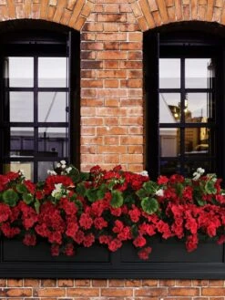 Fairfield Self-Watering Window Box, 5’ -Flowerpot Discount Store 8588938 102V tif