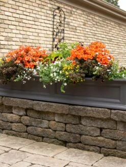 Fairfield Self-Watering Window Box, 5’ -Flowerpot Discount Store 8588938 105V tif