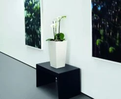 Lechuza® Cubico Color Tall Self-Watering Planters -Flowerpot Discount Store 8589485 03V tif