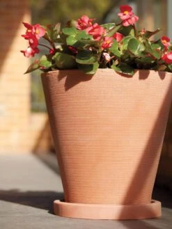 Universal Round Planter Saucers -Flowerpot Discount Store 8589526 001V tif