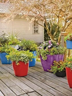 Viva Square Self-Watering Rolling Planter, 17.5" Diameter 8 Viva Square Self-Watering Rolling Planter, 17.5" Diameter -Flowerpot Discount Store 8589778 09000 tif