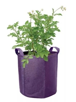 Gardener's Best® Potato Grow Bag -Flowerpot Discount Store 8589785 003S 3 4