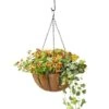 AquaSav™ Oxford Hanging Basket, 14" 1 AquaSav™ Oxford Hanging Basket, 14" -Flowerpot Discount Store 8589789 028 tif