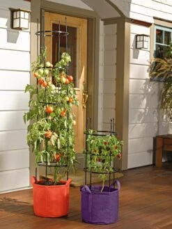 Gardener's Best® Tomato Grow Bag Set -Flowerpot Discount Store 8590013 170 tif