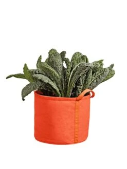 Gardener's Best® Universal Grow Bag -Flowerpot Discount Store 8590024PP 227 tif