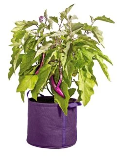 Gardener's Best® Universal Grow Bag -Flowerpot Discount Store 8590024PR 214 tif