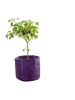 Gardener's Best® Universal Grow Bag -Flowerpot Discount Store 8590024PR 249 tif