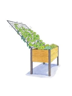 Elevated Planter Box And Space-Maker Pivoting Trellis Set, 2' X 4' -Flowerpot Discount Store 8590247 SMTrellis 4ft tif