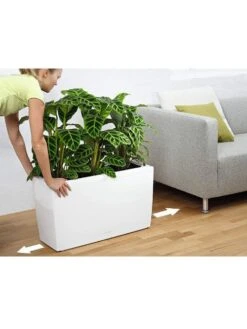 Lechuza® Cararo Rectangular Indoor Planter With Casters -Flowerpot Discount Store 8590295 03v