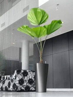 Lechuza® Delta Premium Self-Watering Planters 13 Lechuza® Delta Premium Self-Watering Planters -Flowerpot Discount Store 8590299 02V tif