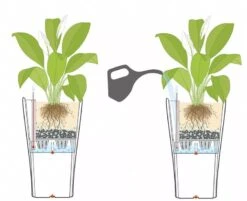 Lechuza® Delta Premium Self-Watering Planters 11 Lechuza® Delta Premium Self-Watering Planters -Flowerpot Discount Store 8590299 07V tif