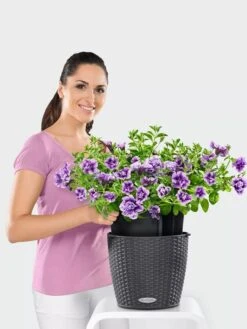 Lechuza® Nido Cottage Wicker Hanging Planter -Flowerpot Discount Store 8591154GT 006V tif