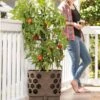 Gardener's Revolution® Tomato Planter -Flowerpot Discount Store 8592159 406 001E tif