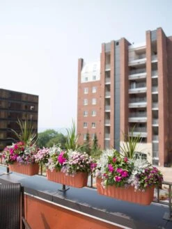 Adjustable Self-Watering Railing Planter, 24" 12 Adjustable Self-Watering Railing Planter, 24" -Flowerpot Discount Store 8592173TC 2383 tif