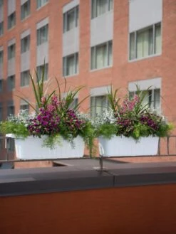 Flowerpot Discount Store -Flowerpot Discount Store 8592173WH 2403 tif