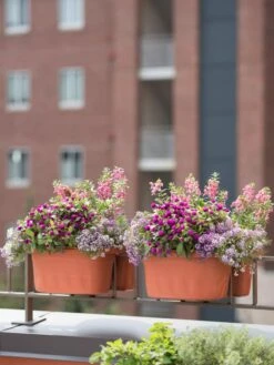 Flowerpot Discount Store -Flowerpot Discount Store 8592175TC 2421 tif