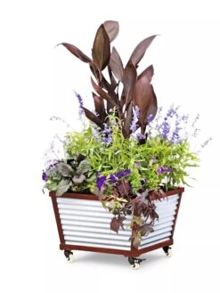 Galvanized Self-Watering Planters 9 Galvanized Self-Watering Planters -Flowerpot Discount Store 8592176 5067 tif