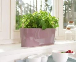 Lechuza® Delta Self-Watering Windowsill Planters -Flowerpot Discount Store 8592361 01V tif