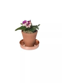 Extra Small Round Copper Plant Tray, 8" -Flowerpot Discount Store 8593528 2922 tif