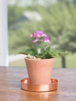 Extra Small Round Copper Plant Tray, 8" -Flowerpot Discount Store 8593528 4522 tif