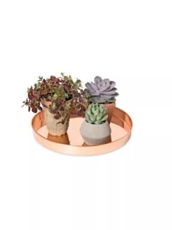Large Round Copper Plant Tray, 14" -Flowerpot Discount Store 8593531 2923 tif