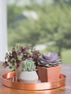 Large Round Copper Plant Tray, 14" -Flowerpot Discount Store 8593531 4518 tif