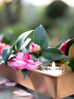 Rectangular Copper Plant Tray, 18"x4" 9 Rectangular Copper Plant Tray, 18"x4" -Flowerpot Discount Store 8593532 02IN tif