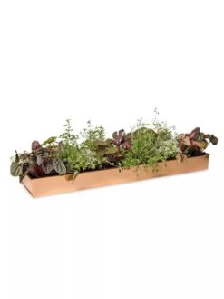 Rectangular Copper Plant Tray, 24" X 5" -Flowerpot Discount Store 8593533 2878 tif