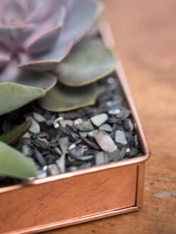 Rectangular Copper Plant Tray, 24" X 5" -Flowerpot Discount Store 8593533 4570 tif