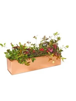 Tall Rectangular Copper Plant Tray, 18" X 5" X 4" -Flowerpot Discount Store 8593534 2899 tif
