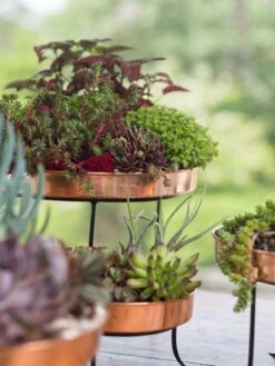 Small Round Copper Plant Tray, 10" 8 Small Round Copper Plant Tray, 10" -Flowerpot Discount Store 8593564 4399 tif