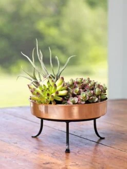 Extra Small Round Copper Plant Tray, 8" -Flowerpot Discount Store 8593564 4641 001E tif