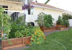 OLT Raised Cedar Garden Bed, 3' X 6' -Flowerpot Discount Store 8594002 03V tif